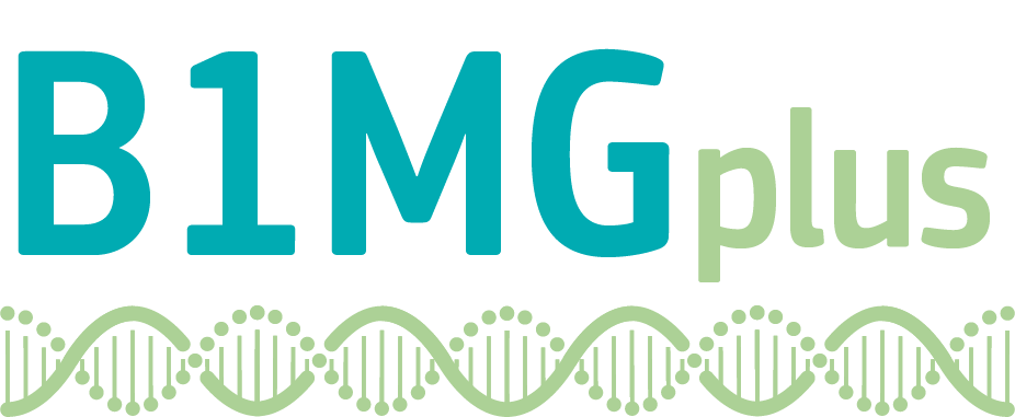 B1MG logo