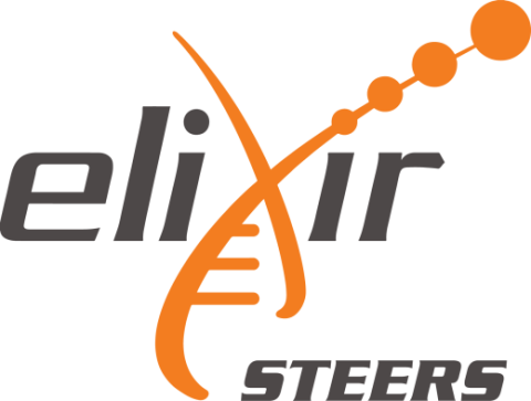 STEERS
